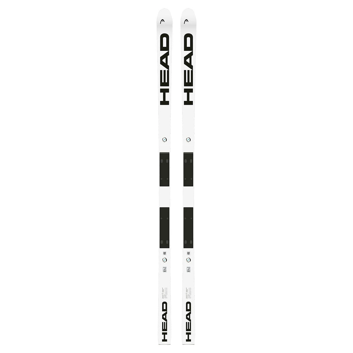 2024 HEAD WCR E-SG Rebel FIS Skis - Image 4