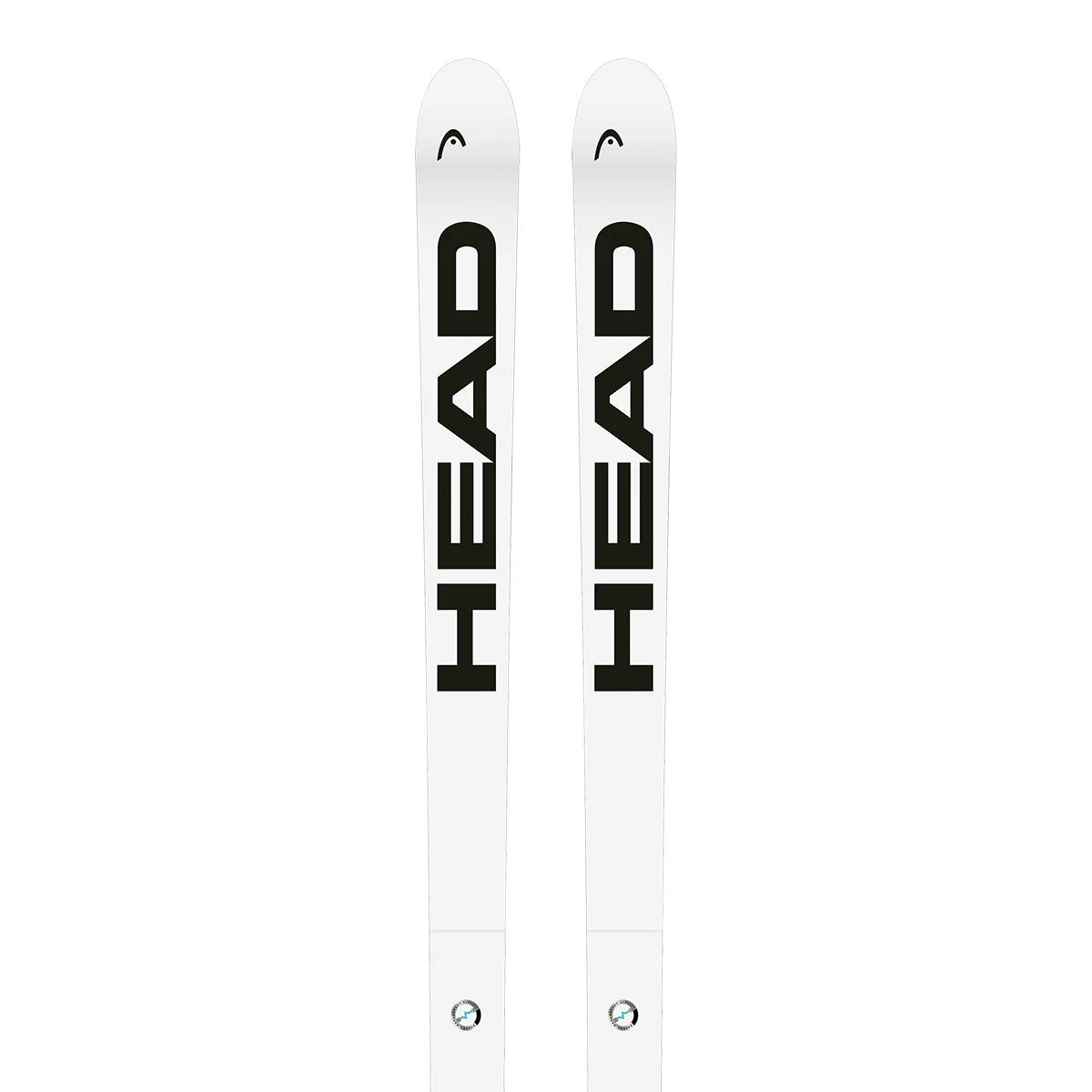 2024 HEAD WCR E-SG Rebel FIS Skis
